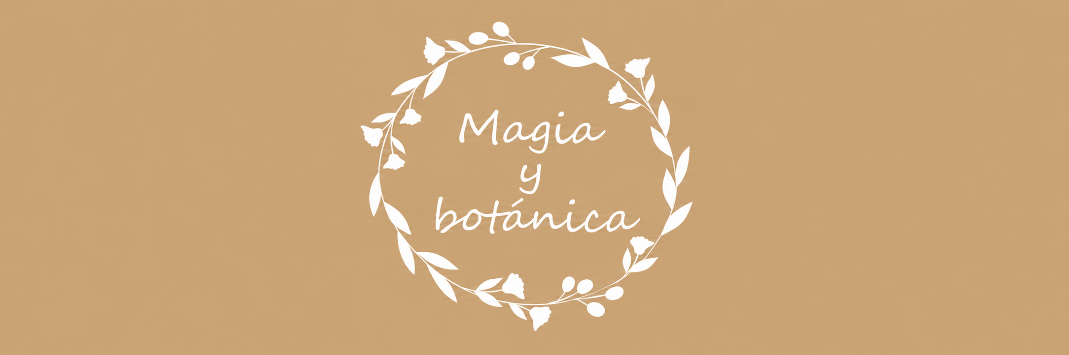 cropped 7c171bf4 43e6 478b 8c2a a9b029187c98.png